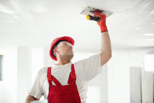 Best Eco-Friendly and Low-VOC Painting  in Weeping Water, NE